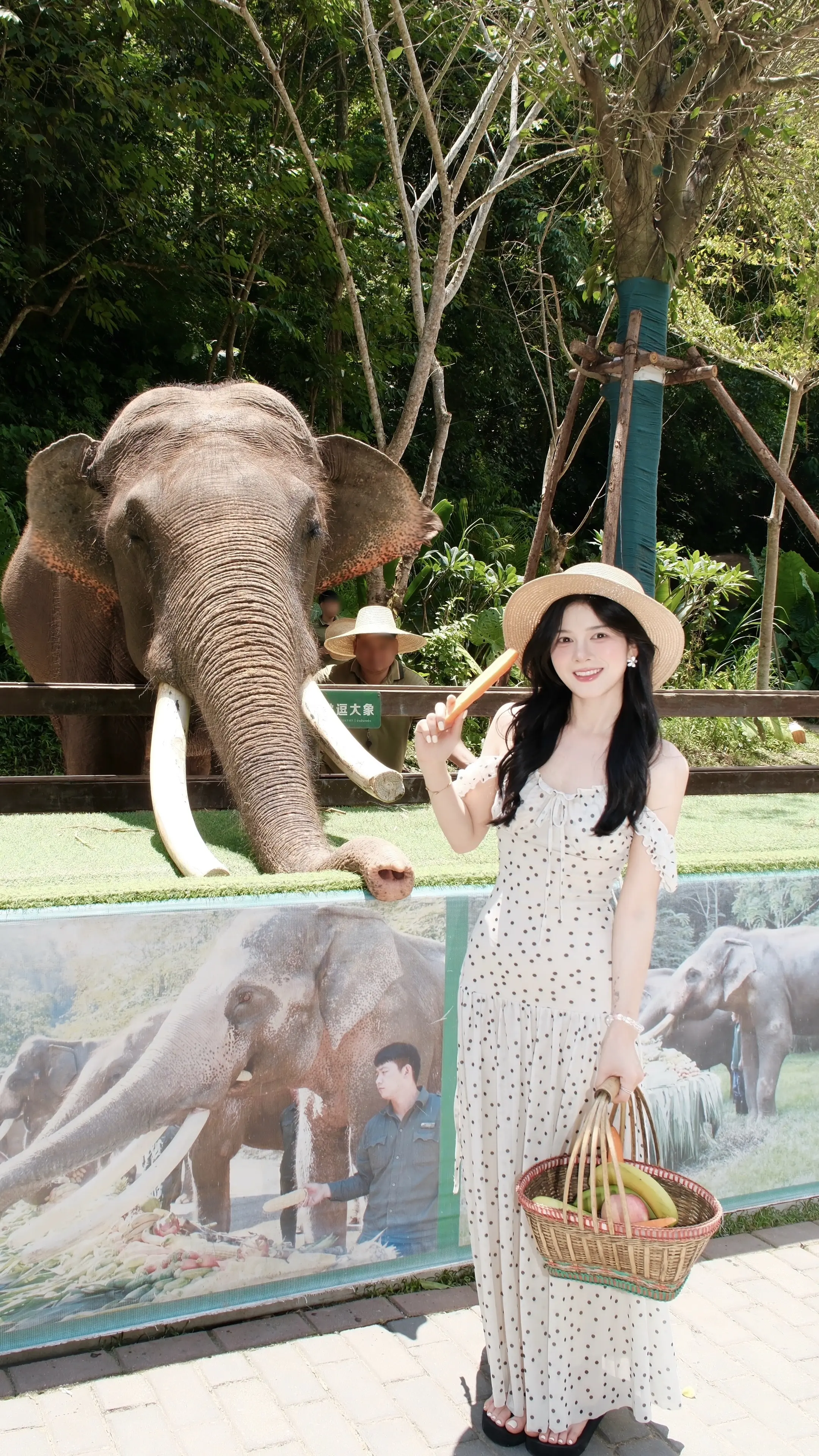 “ 生活有🐘往 ”