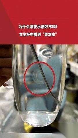 就问你，第二天早上起来，发现床头的水杯里，飘着一串晶莹剔透的“果冻虫”，你是什么