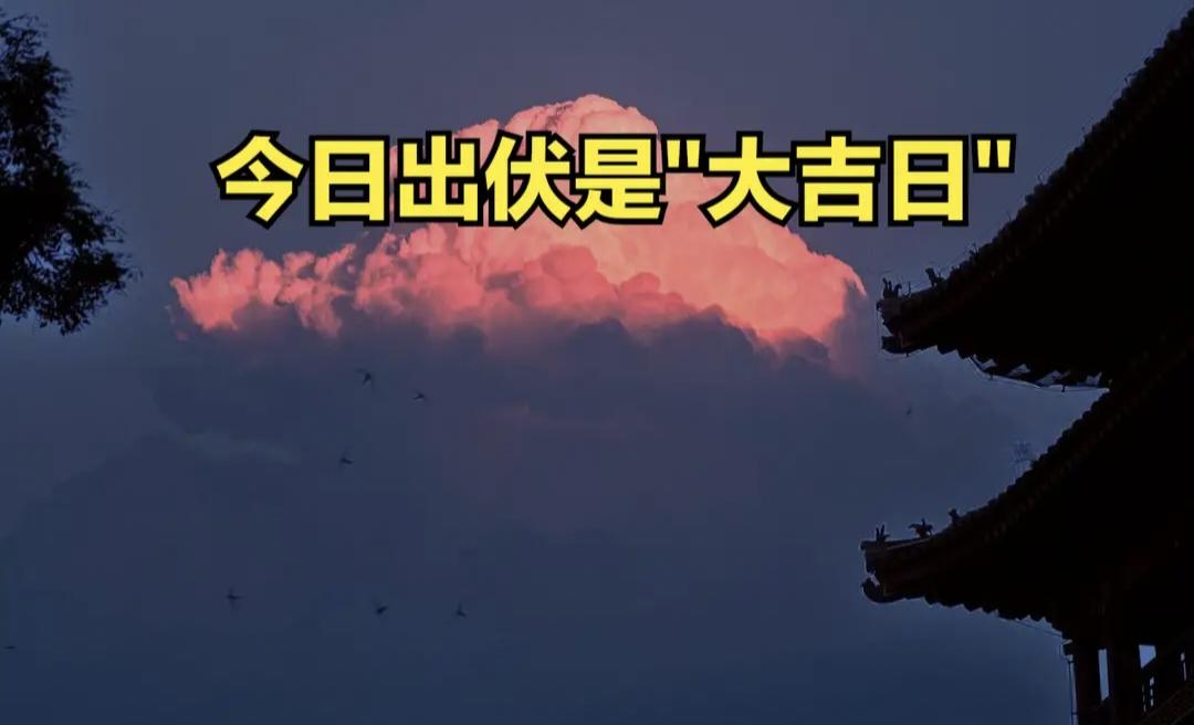 今日出伏，是"大吉日"，记得：1要吃、2要开、3要动、4要晒

今天是2026年