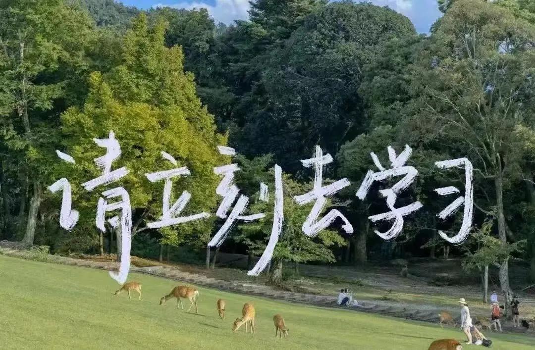 高三最后冲刺，我不晓得你除了自学还能干啥？
老师又不讲基础学校都是考试，但是这些