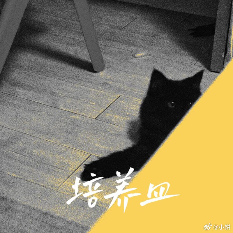 我正在听培养皿的 《028 听到春天——古典音乐推荐系列》，分享给你听听～ 网页