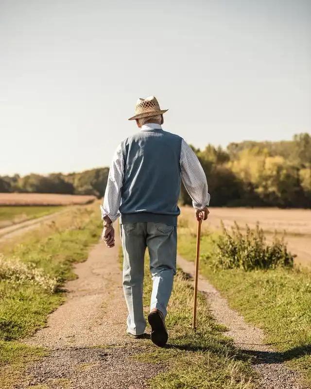 发人深思的一段话：“人活到最后，最需要的东西，不是子女，也不是老伴，更不是房子、