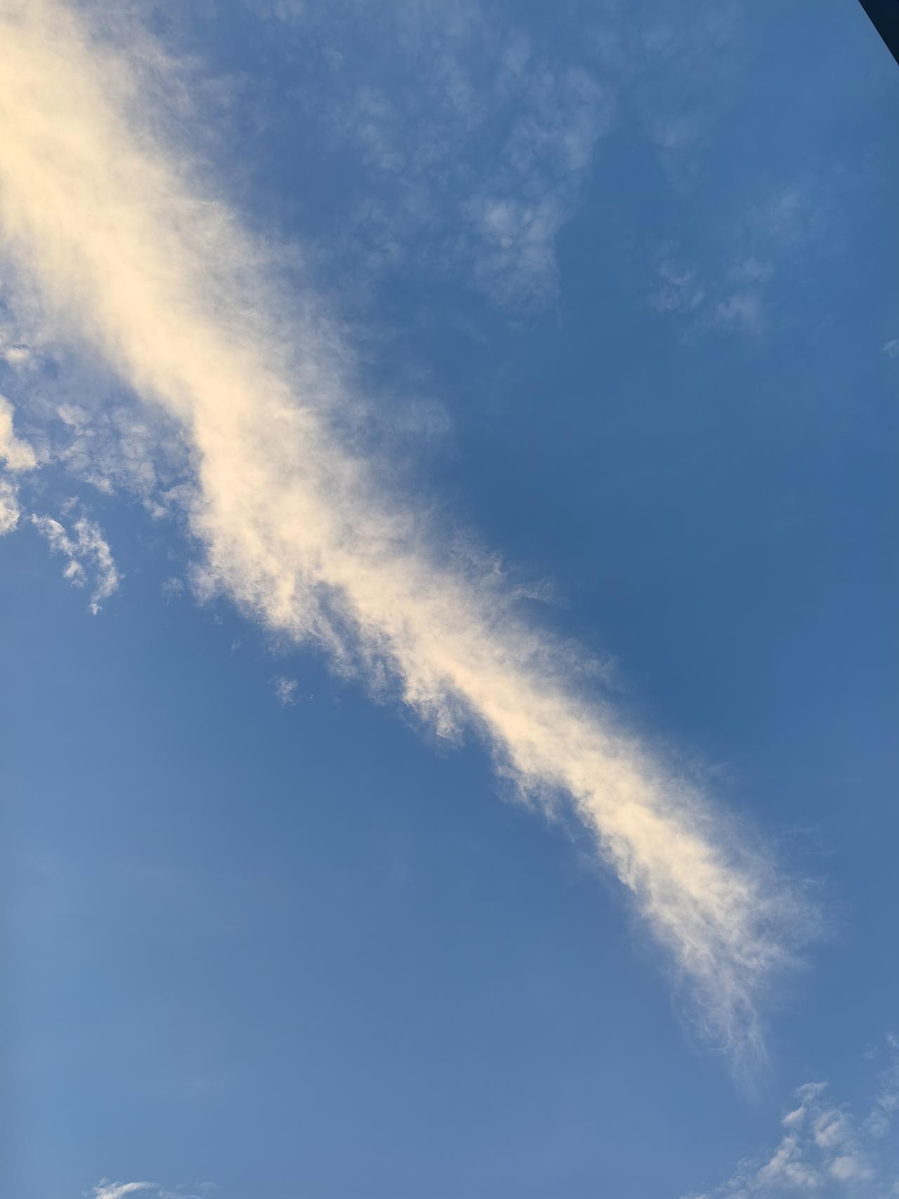秋日随手拍