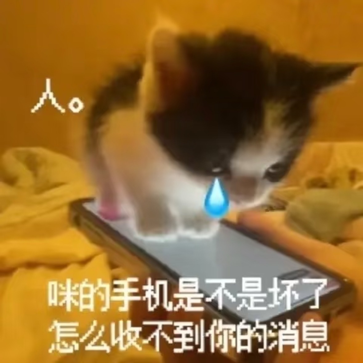 欧尼元旦怎么不发了 人家一直在等