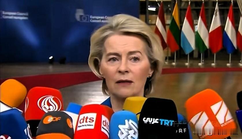 欧盟委员会主席冯德莱恩:“今天与欧洲领导人就我们对乌克兰的支持、其安全以及该国的