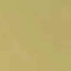 近期，伊朗及美国以色列的战争成为外界关注的焦点。受到伊朗局势的影响，中东其他国家