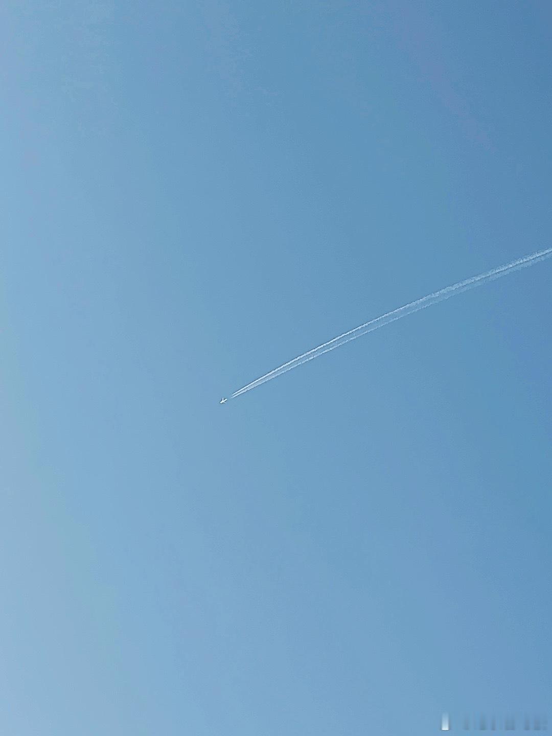 无惧风雨，只为飞向更广阔的天空。好梦~~ ​​​
