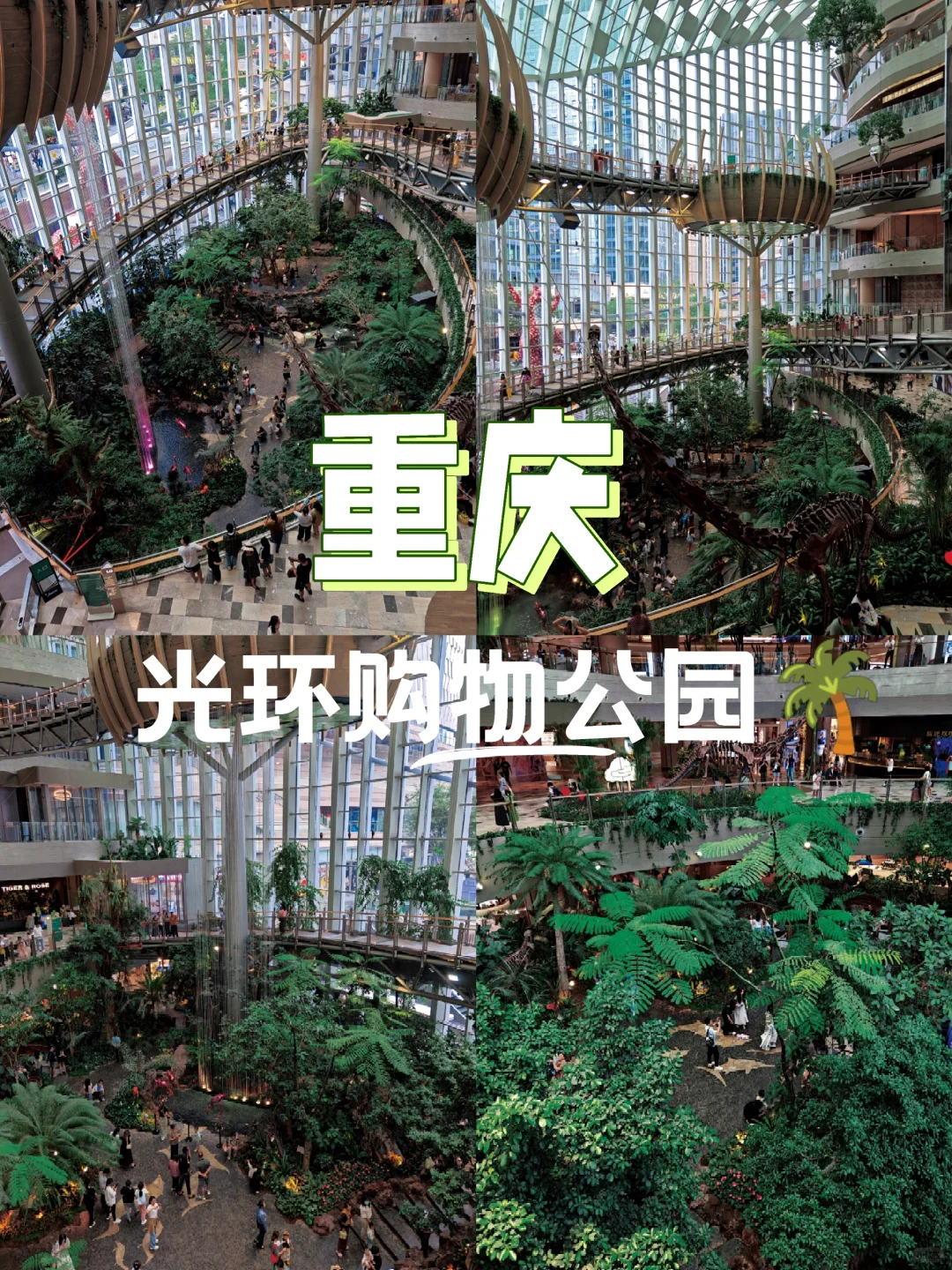 重庆光环购物公园，商场里藏了一个热带雨林