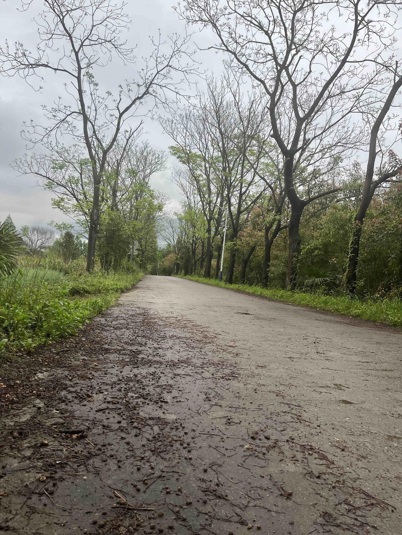 《道德经》里这段话，越读越觉得，老子不是在讲道理，是在讲人性。

“天下皆知美之