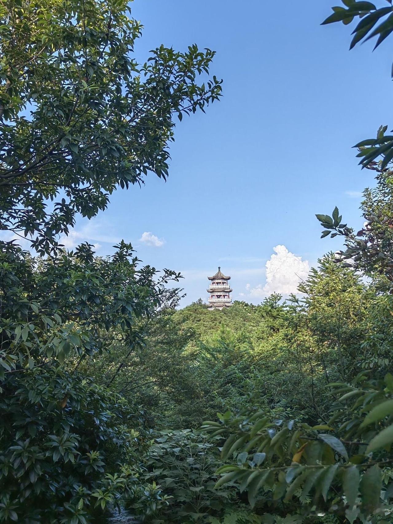 新余百丈峰登山步道登顶攻略

🌄终于打卡了心心念念的登山宝地！全程暴汗不踩雷，