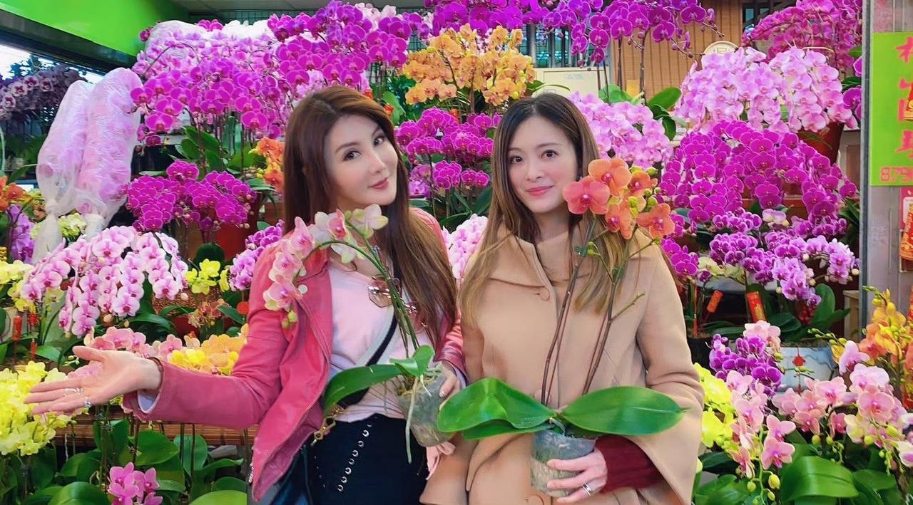 刘真老师去世6年了[拜托]

闺蜜杨丽菁发文怀念：「那时候我们还讨论着，怎么样庆