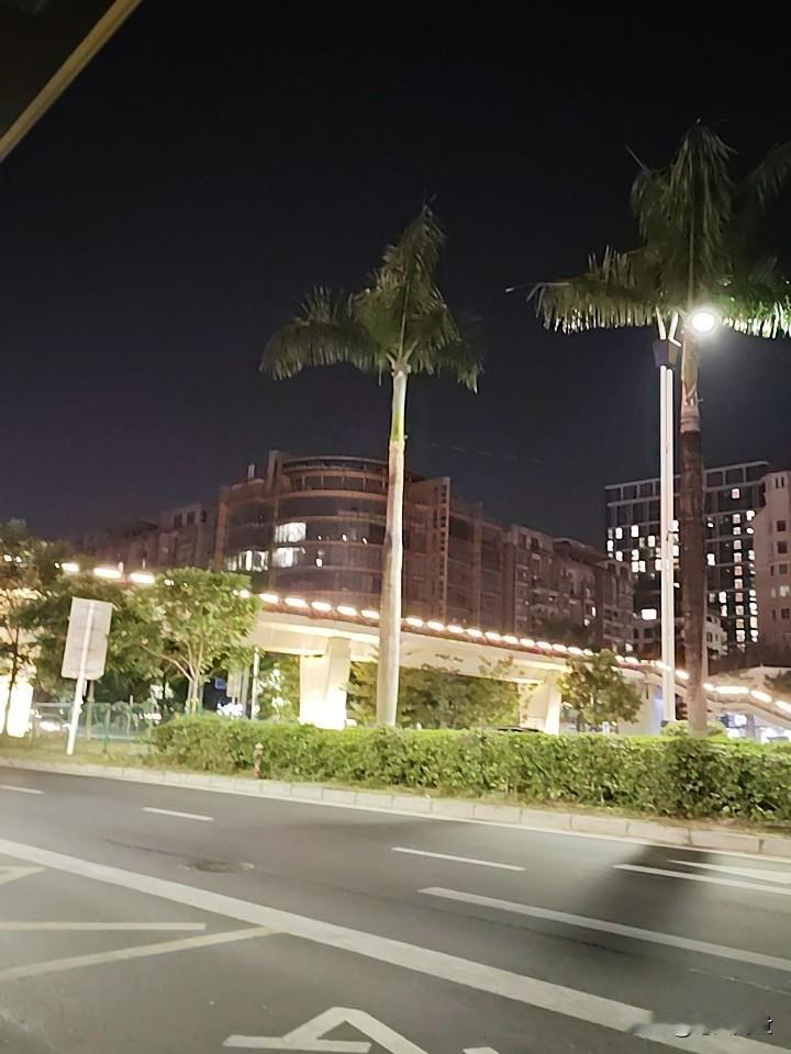 夜色渐浓！是时候归家了
