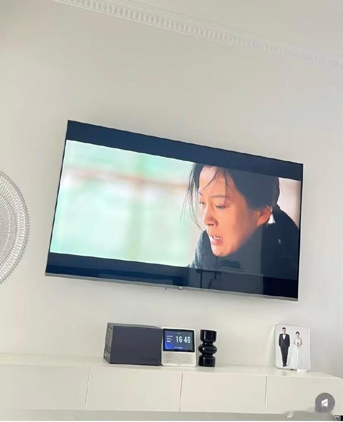 半个车厢都在追以法之名 我们的以法之名，是真的火了哈，半个车厢都在追，连我们的猫