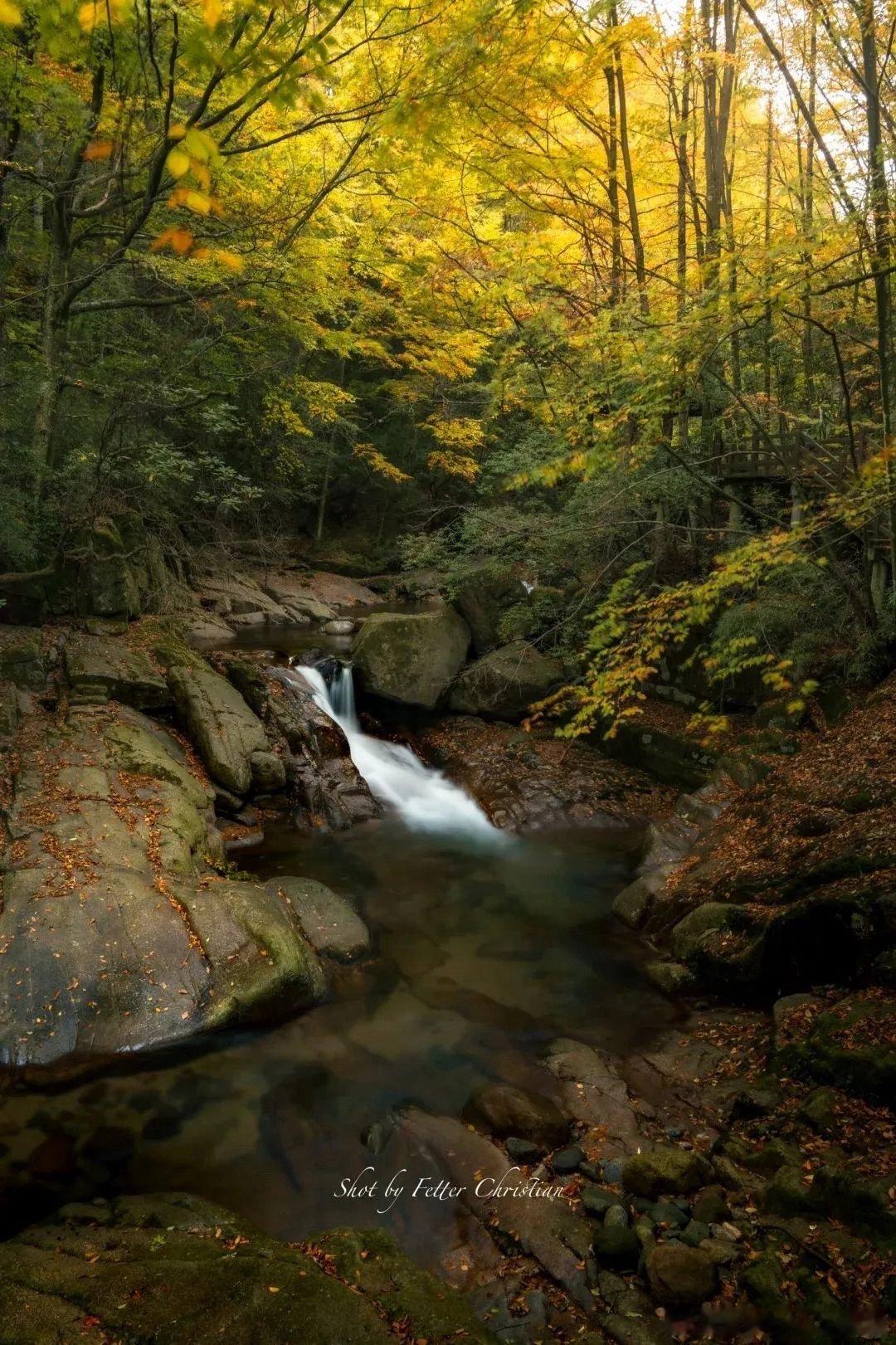 #四川光雾山今年红叶观赏期延长# 哇哦！四川光雾山的红叶观赏期延长。山间红叶似彩