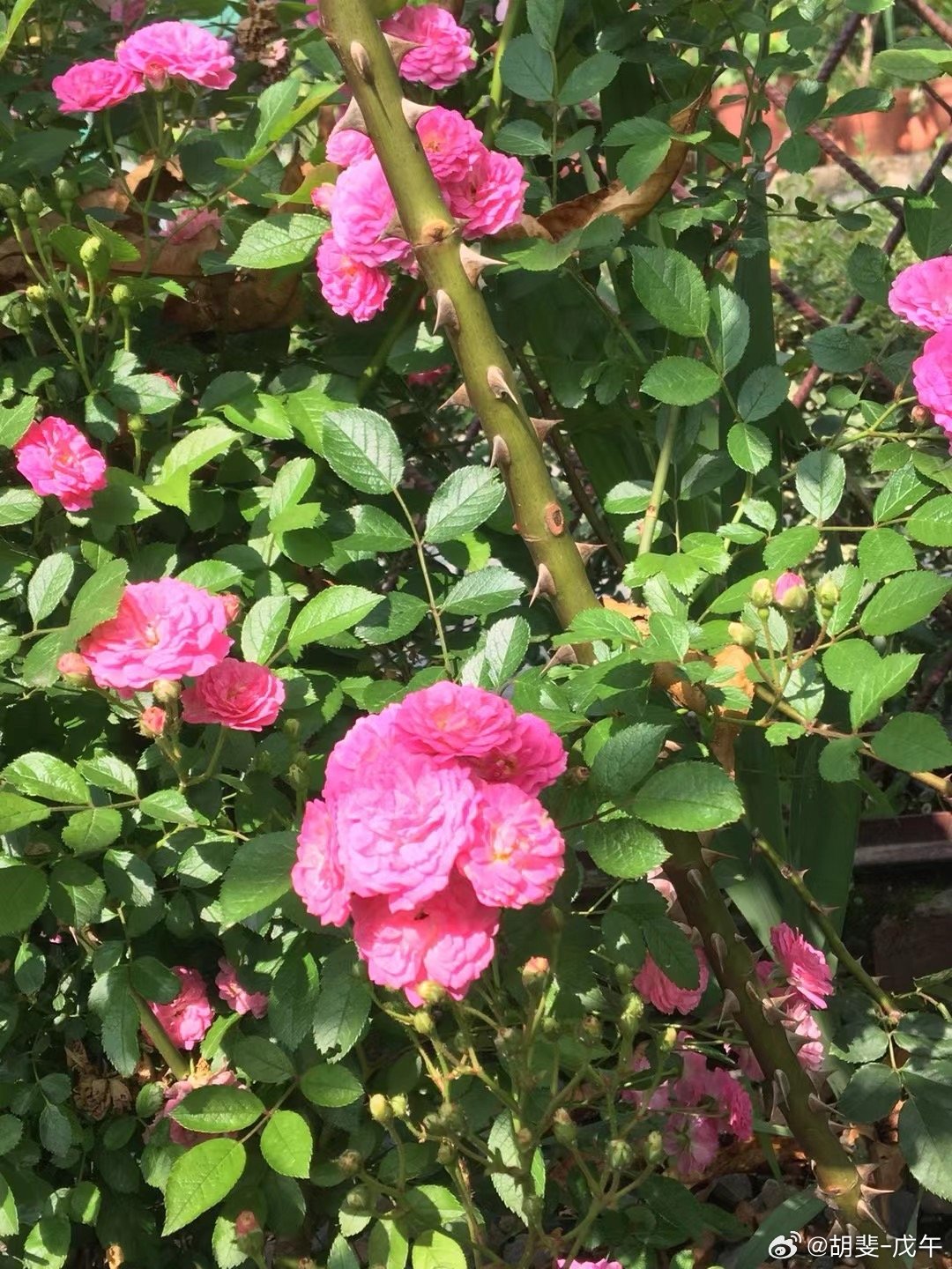 想到做到，知行合一 