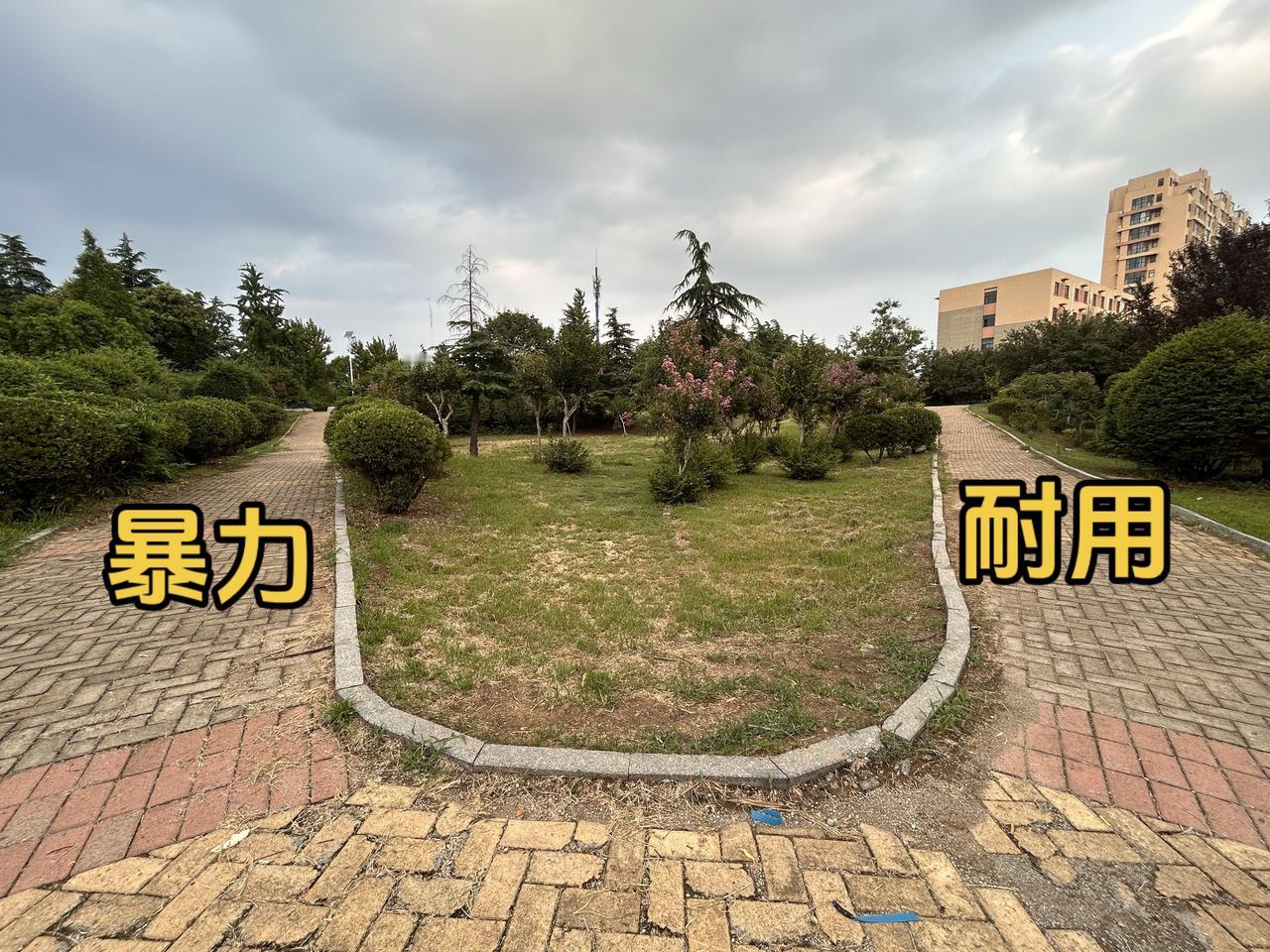 怎么选？一边是暴力，一边是耐用。弓友们怎么选？？？弹弓爱好者 原创视频 我要上热