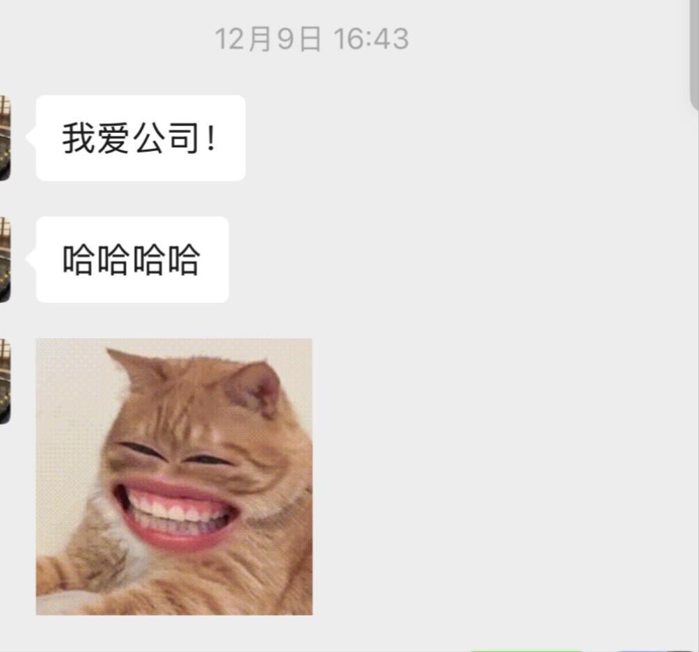 入职公司半个月的态度转变 