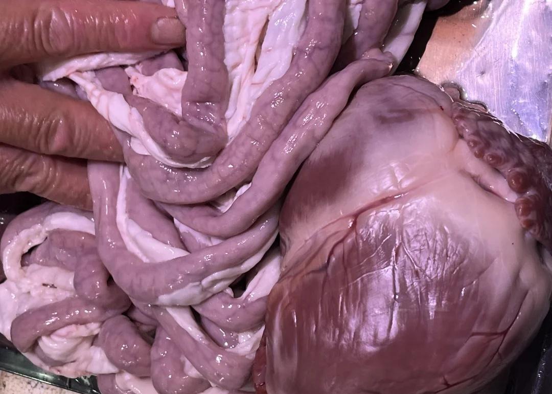 你的G图博主菜市场采风时候
所以要多找参考