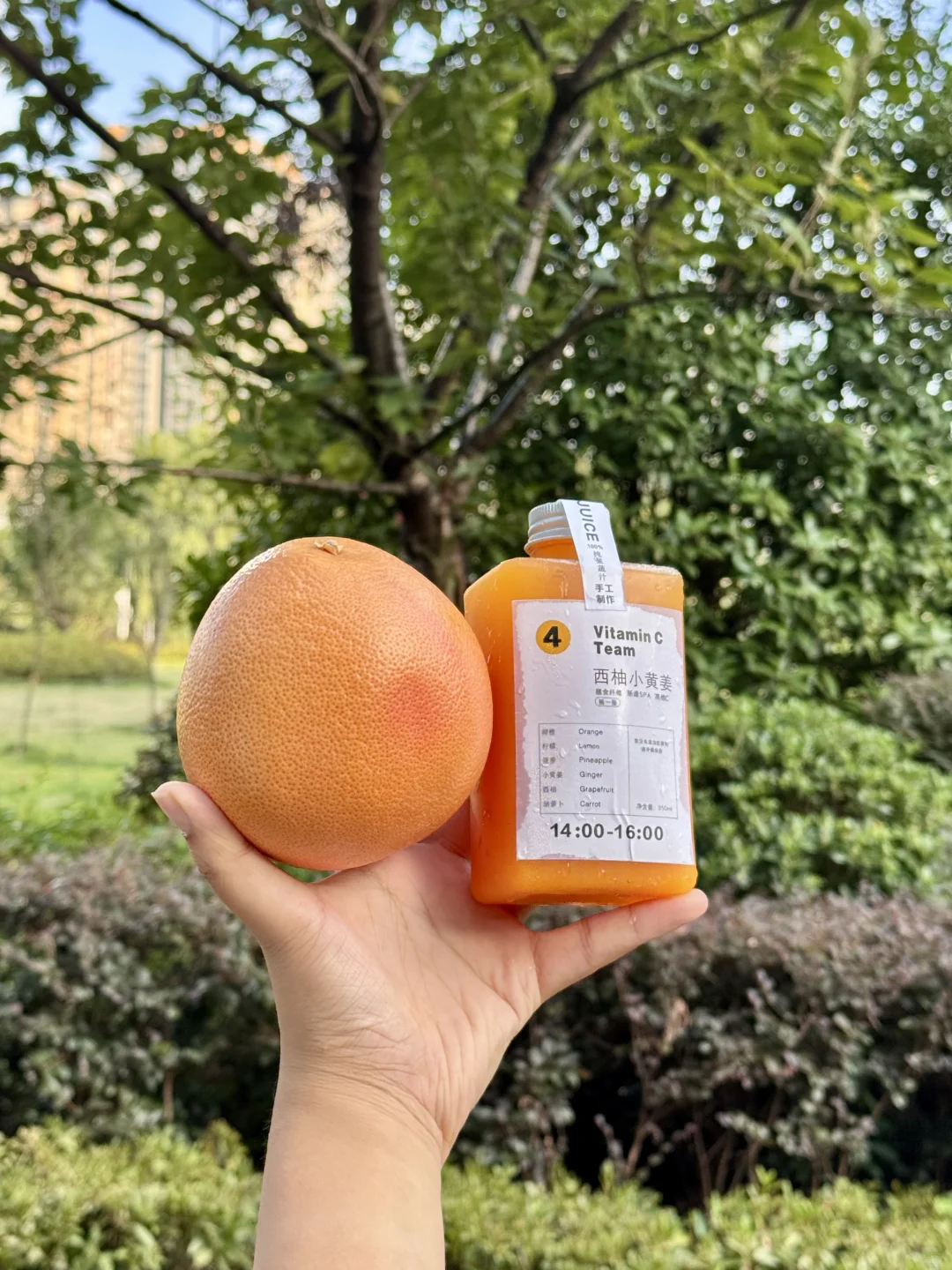 遵义新开的。果汁届都已经Next level了！🍊🧃