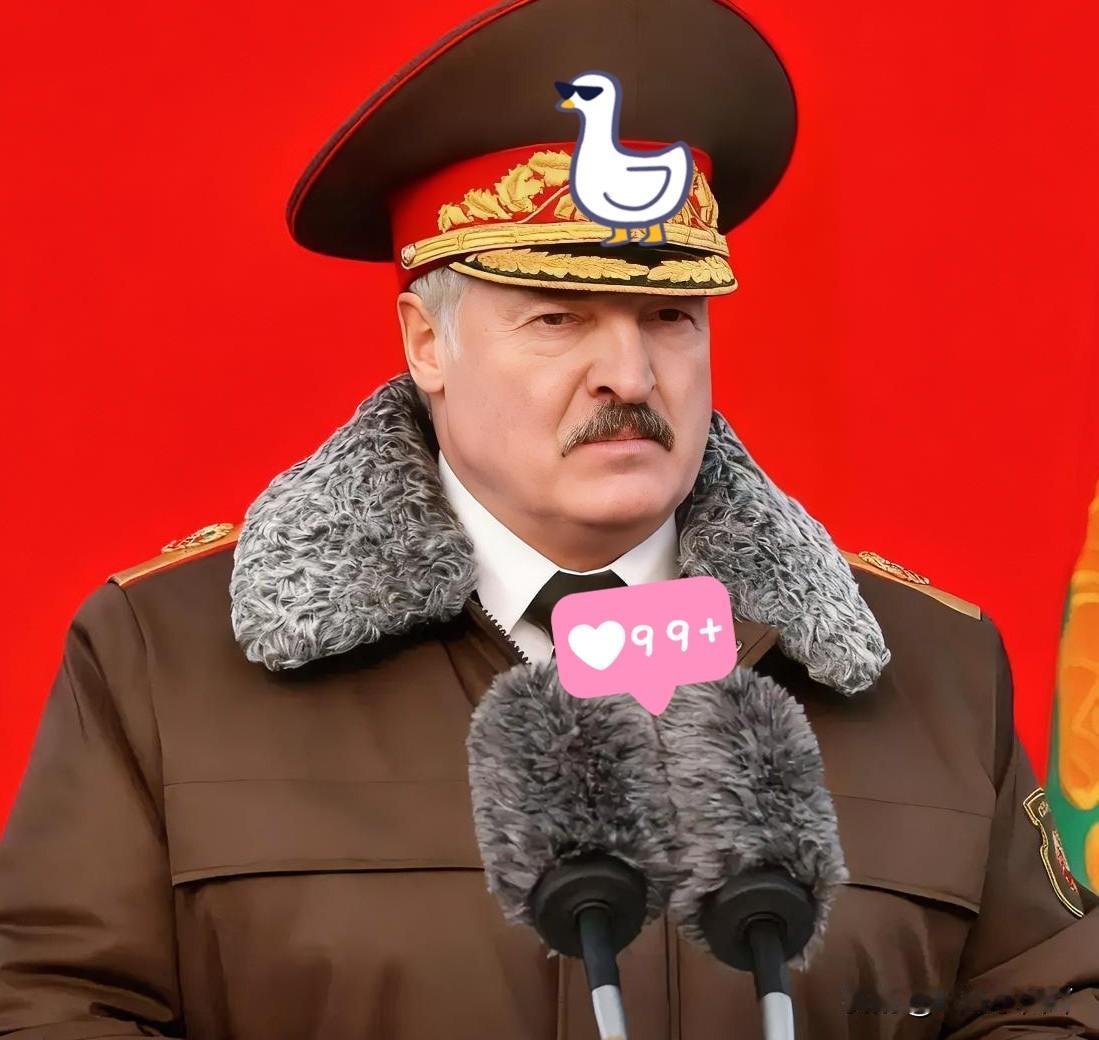 快报✓
白俄罗斯出手了！

11月4日，白俄罗斯立法禁止波兰和立陶宛注册的货运车