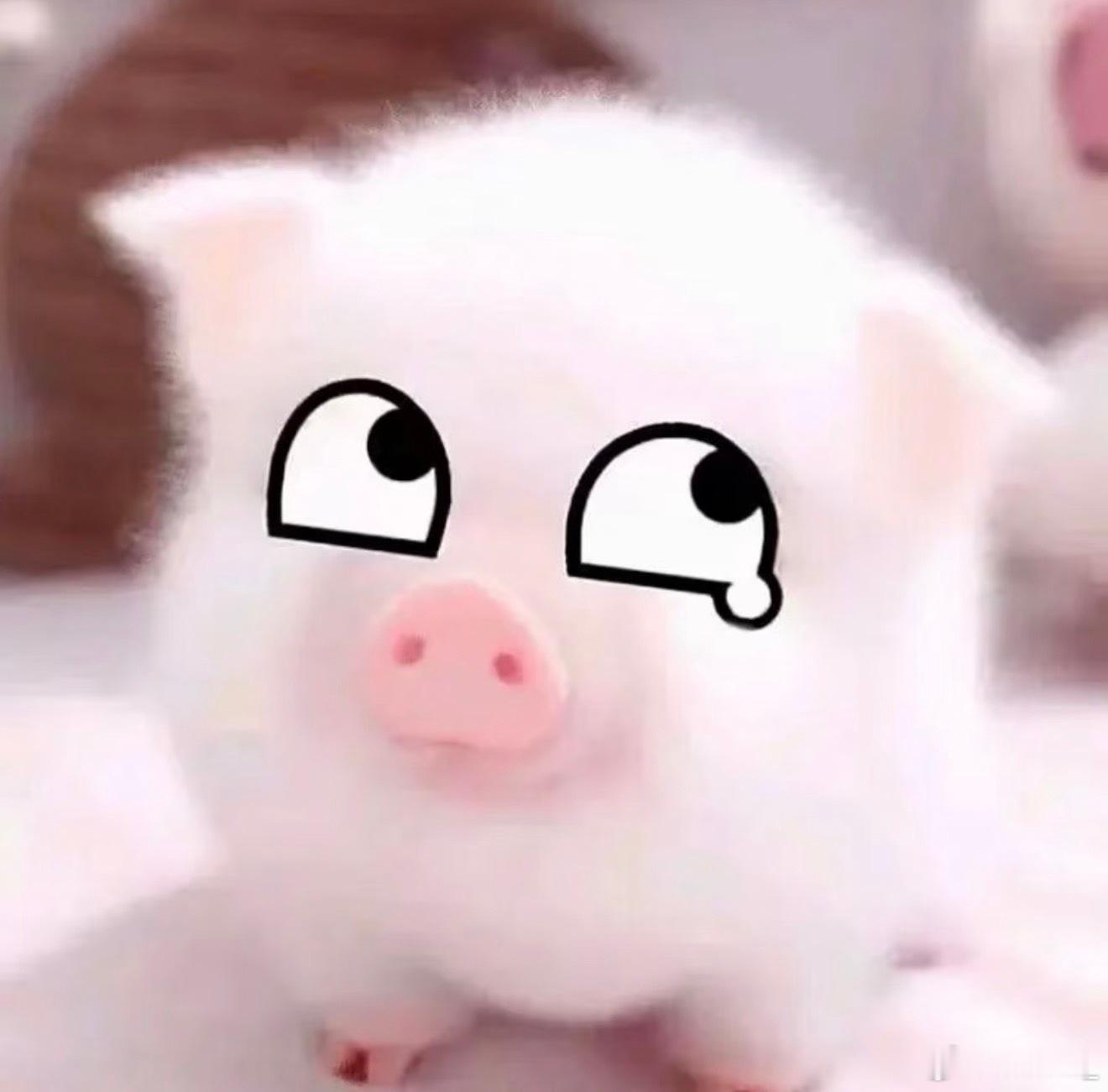 苏醒了… 