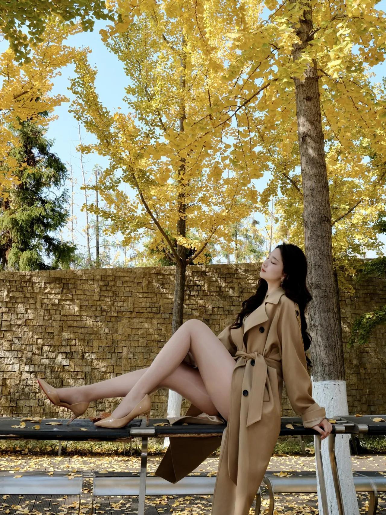 银杏季出片攻略｜秋光里的诗意定格
 
碧云天，黄叶地，
秋色连波，漫染天际。
风