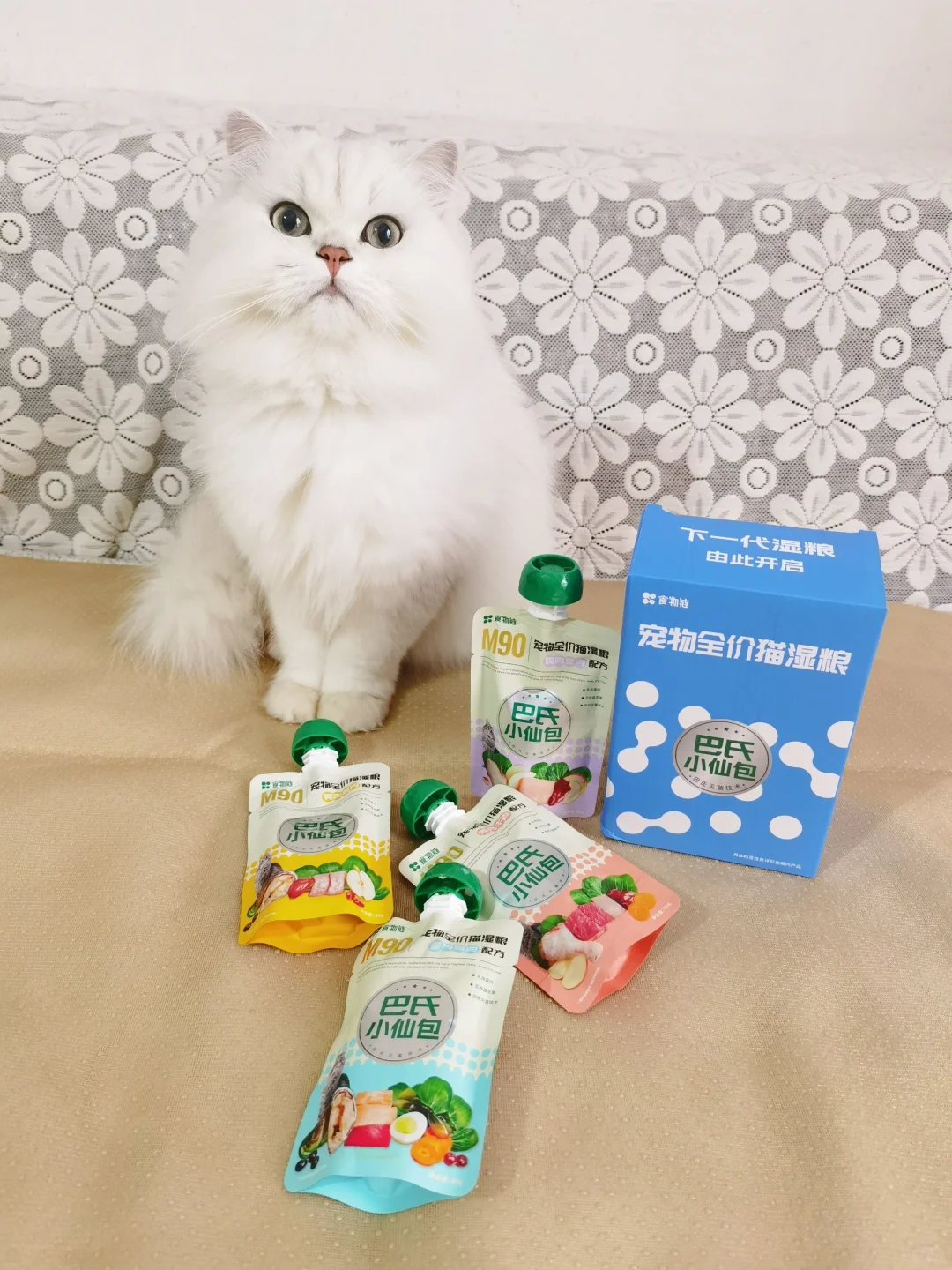 小猫咪的理想大餐