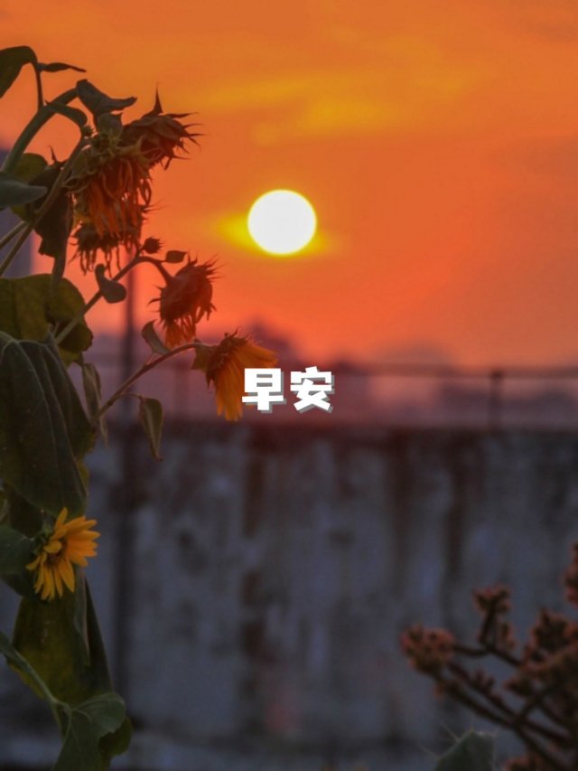 晨光正好，心向晴朗，新的一天，慢慢来，会好的。早安