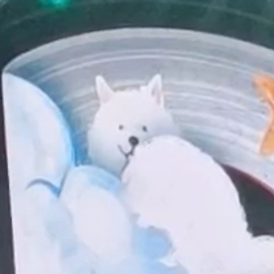 狗子先是上直播、录MV，又是出席演唱会的 