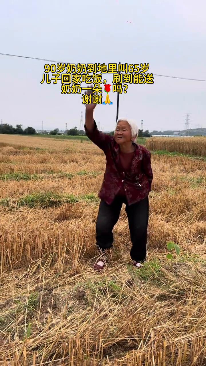 90岁奶奶到地里叫65岁儿子回家吃饭，刷到能送奶奶一朵玫瑰吗？谢谢。