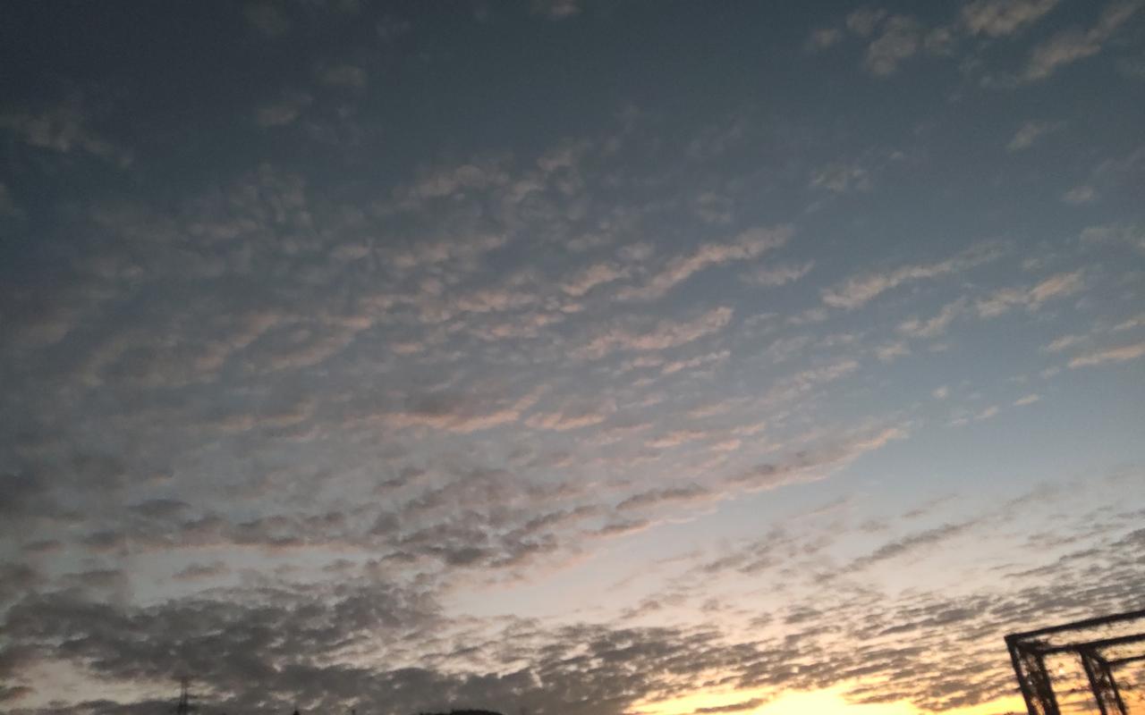 窦文涛谈养老：相较于单纯的生存，生命质量与选择的自由更为重要。
若想拥有较高的生