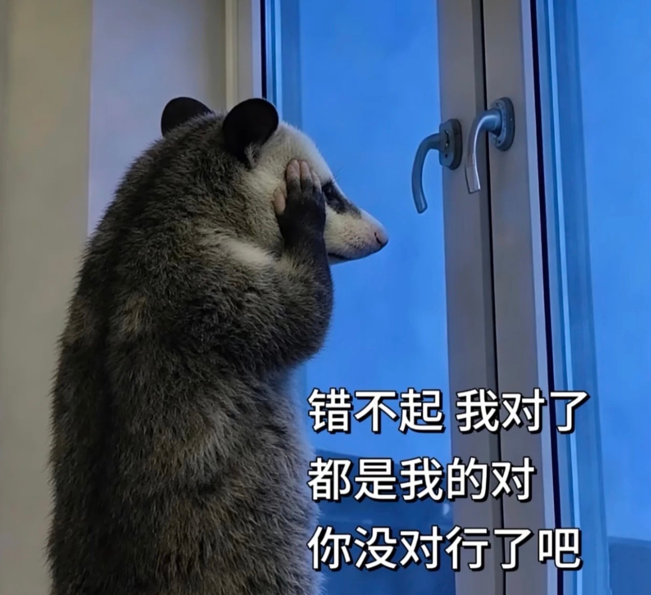 低声些难道光彩吗比取消调休先来的是调休版闹钟嗯…AI没有但是得到了调休时会响的闹