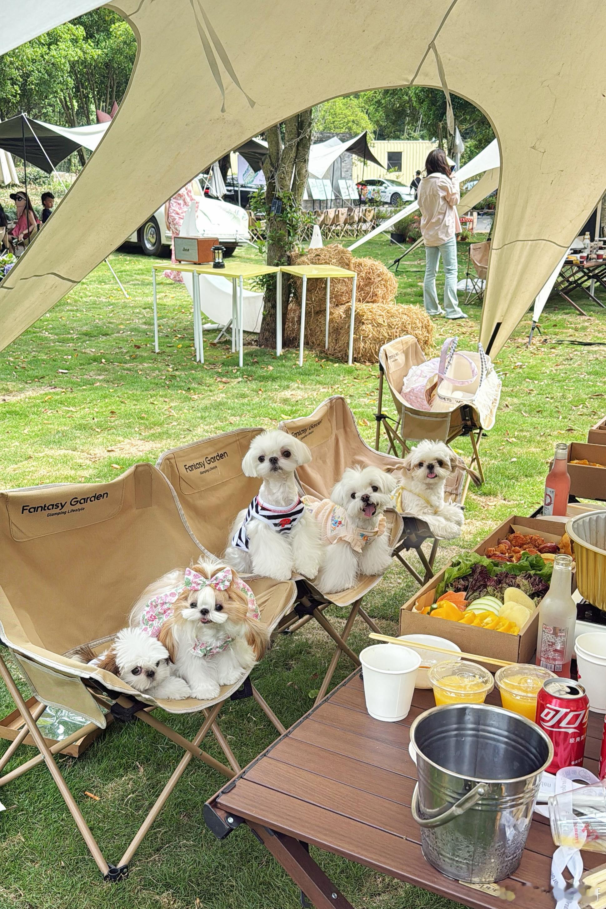 五一快乐🐶⛺️ ​​​