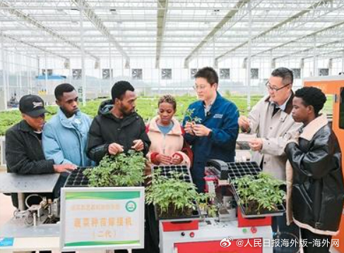 【#外媒说#丨“中非多领域合作取得里程碑式的巨大成就”】在中非开启外交关系70周