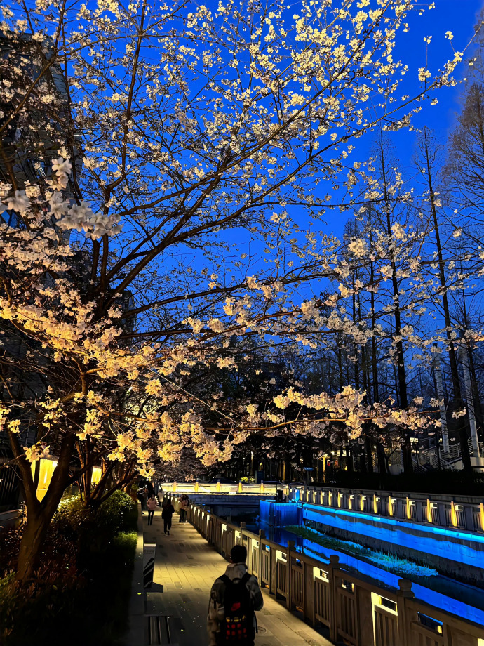 𝗕𝗹𝘂𝗲 𝗛𝗼𝘂𝗿蓝调时刻 ​ ​​​