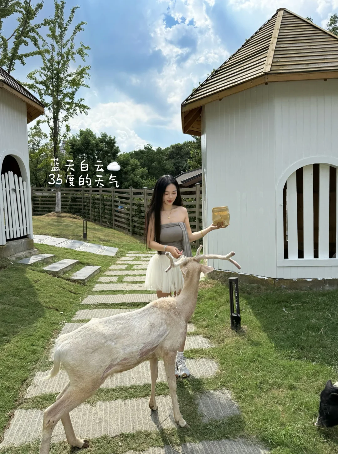 摸摸小鹿头 烦恼都没有•.🧺‧₊˚.🦌₊ ‧⸝