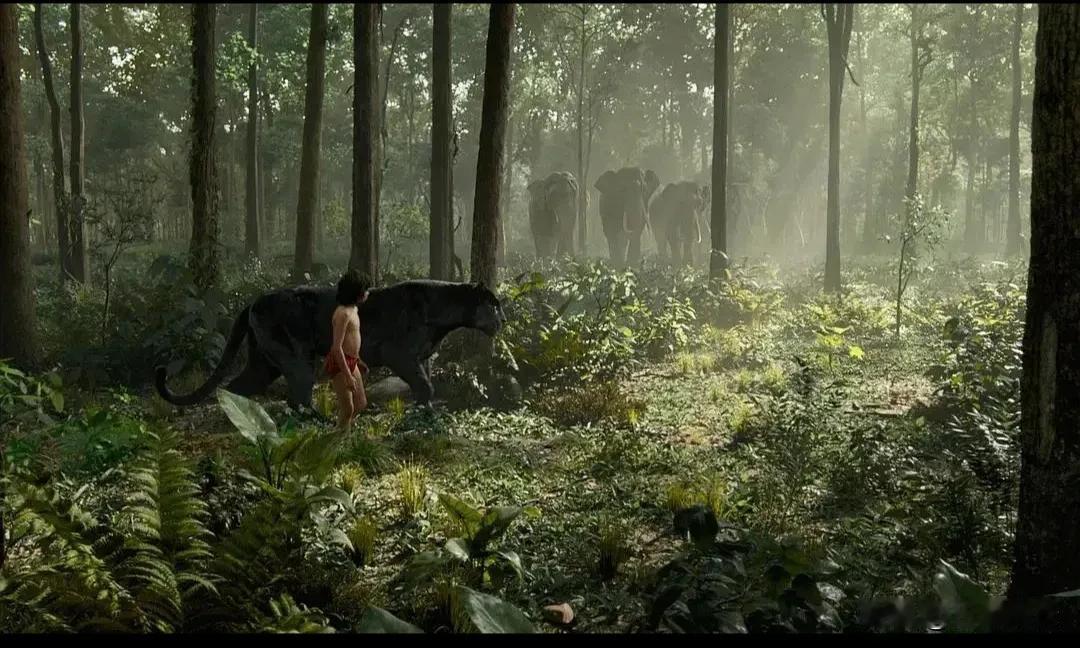 当我们探讨丛林法则是否适用于人类时，这是一个复杂且充满争议的话题。
 
丛林法则