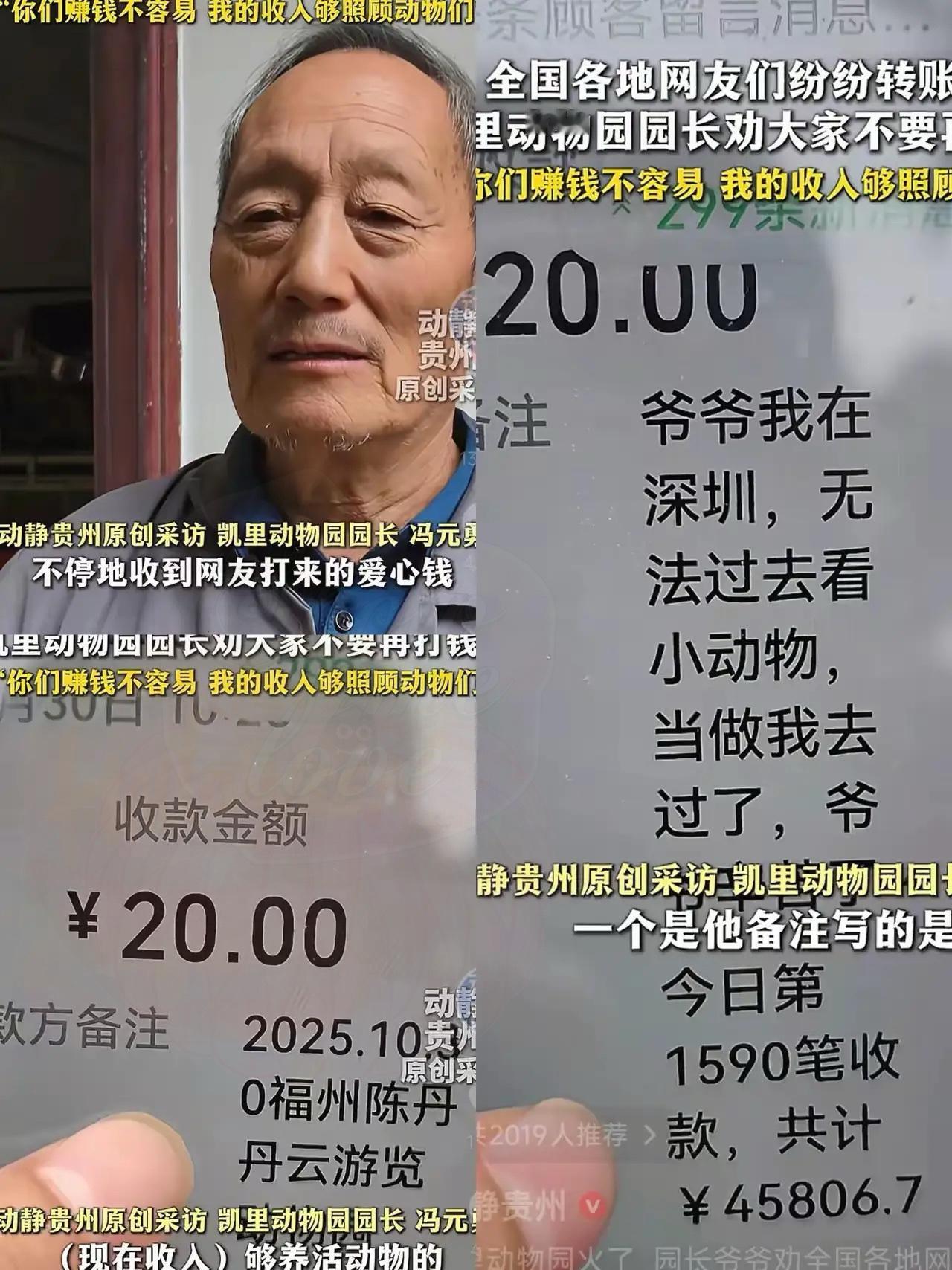 我敢打包票，凯里那位70岁园长爷爷肯定懵了，自己守着冷清动物园10年，没想着火，