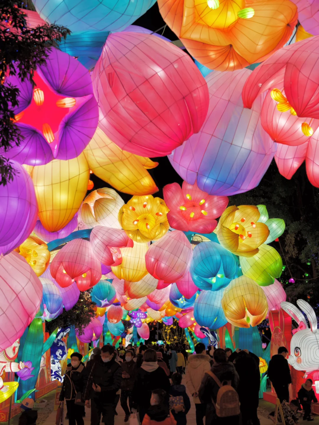 三年了🔥 久违的金沙太阳节 🏮看灯会看国宝