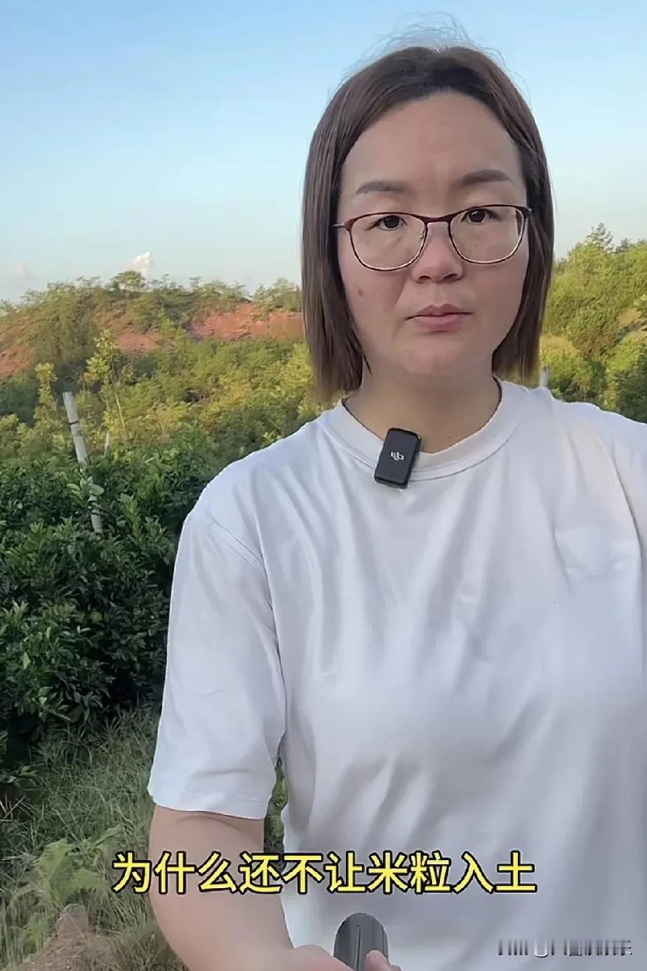 2岁女童米粒坠楼，母亲首次公开5年未入土的原因，最后一点让人泪崩。

1、保姆被