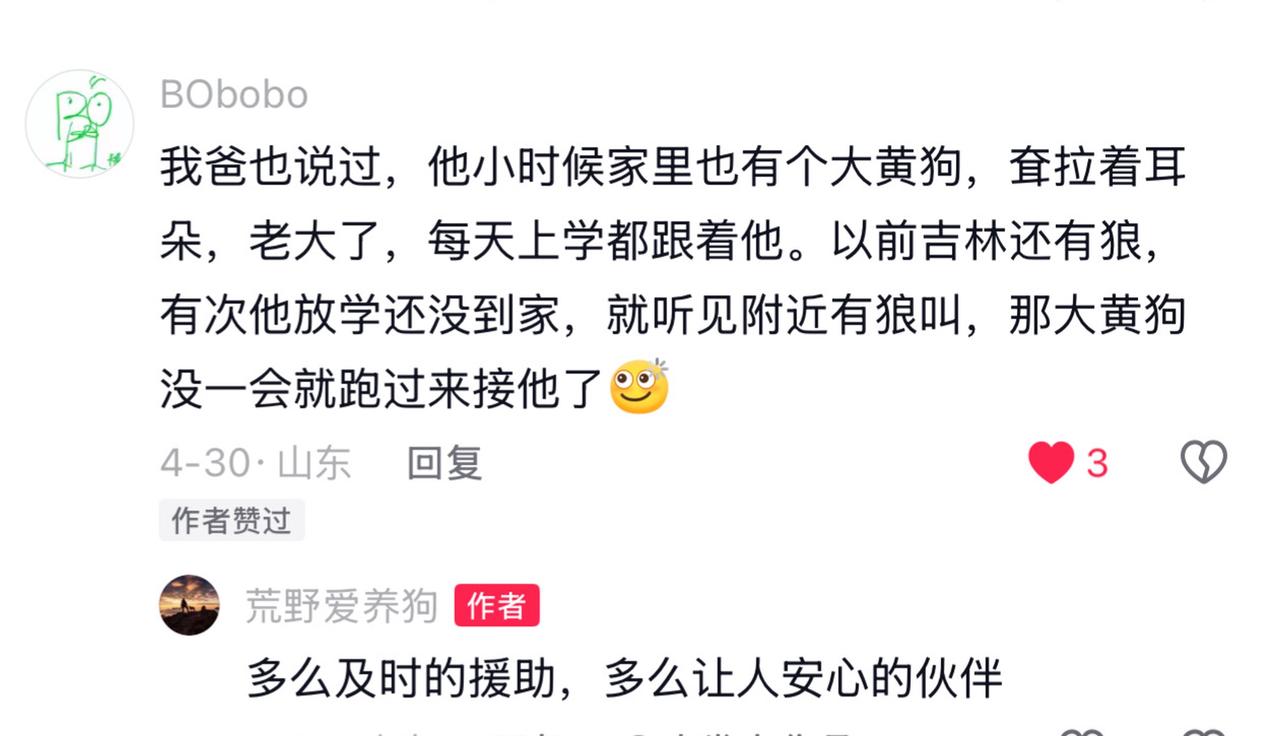 这样的童年大黄，就像保镖级别的护卫犬。更可贵的是，它送完小伙伴上学，还能自己回家