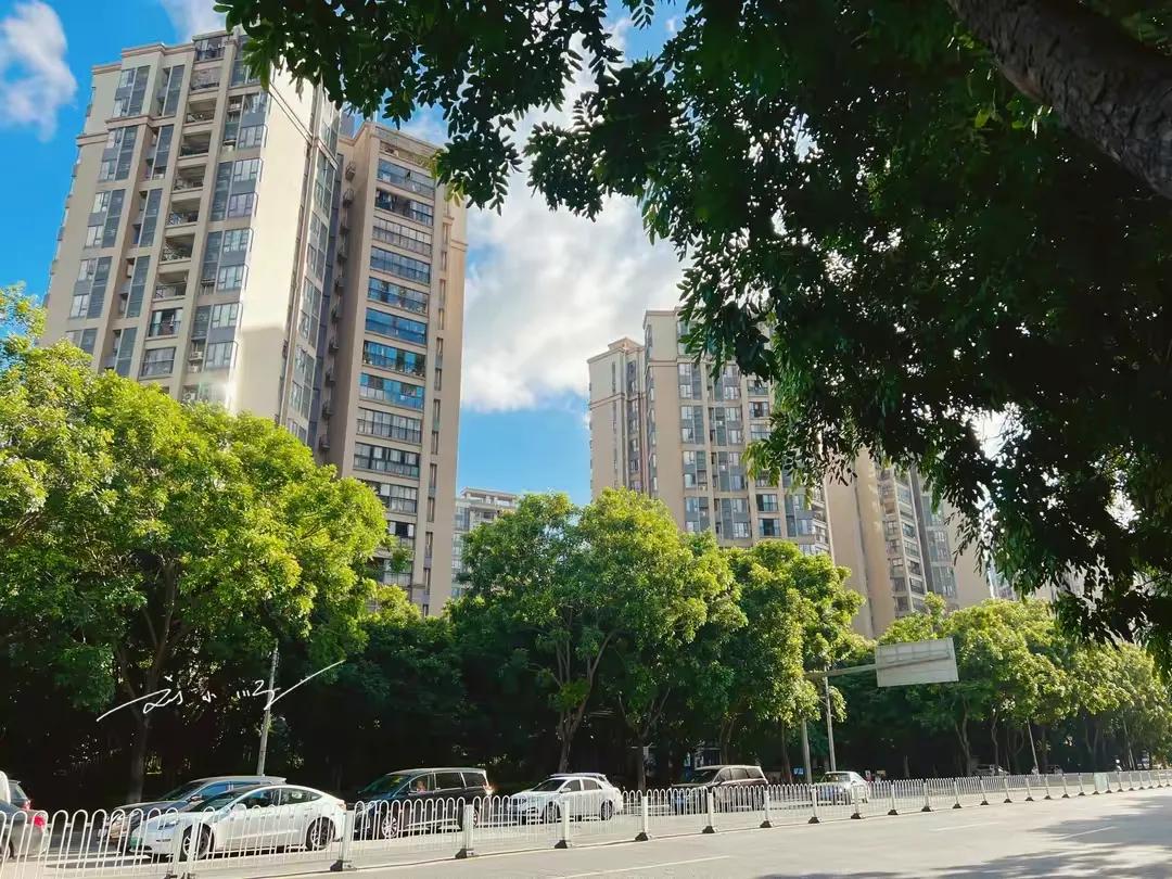 广州西部有一座“被瓜分”的江岛，一半属于广州，另一半属于佛山？

前段时间，我和