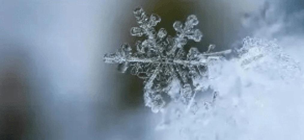 分享网易新闻《雨雪又要来了，郑州暖气会延期吗？官方回应》  来自@网易新闻客户端