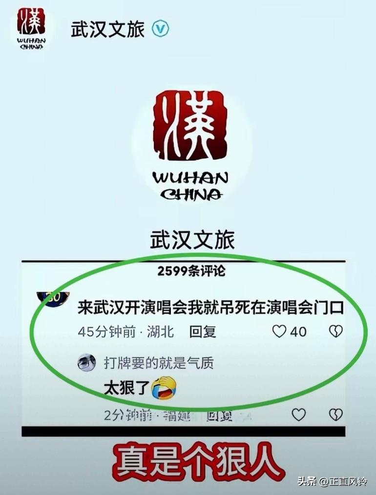来了个狠人！太狠了吧[捂脸][捂脸]
“来武汉，我就吊死在演唱会门口！”
武汉文