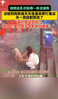 “万物皆有灵！”吉林长春，一烧烤店女老板多次投喂一条流浪狗，没想到，狗竟然天天夜