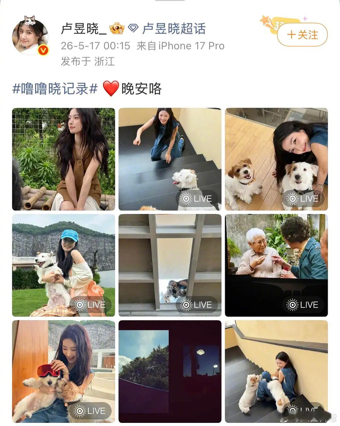卢昱晓发营业照，里面有《给阿嬷的情书》影院盗摄画面 