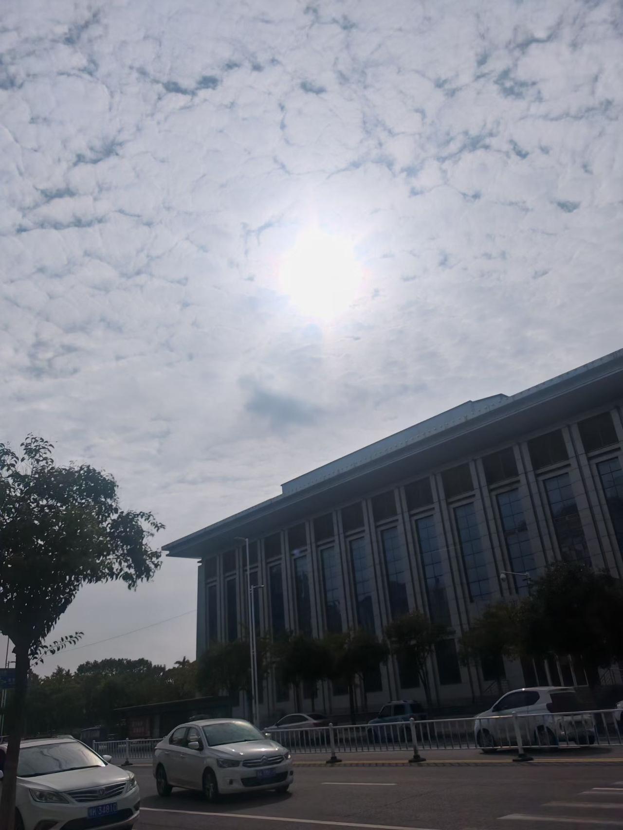 不得了啦！一个多月过去，总算见到太阳了。都说免费的才是最贵的，如今连见太阳都成了