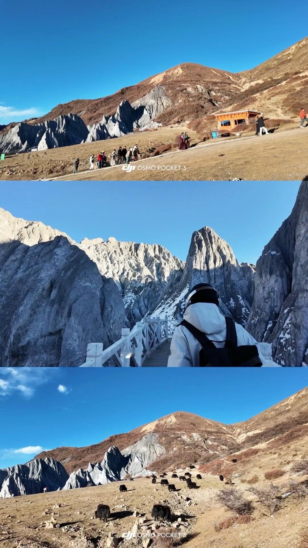 川西之行，恍如梦境，已过月余，但我的思绪与灵魂仍在那雪山旷野、草原之间游荡。那里