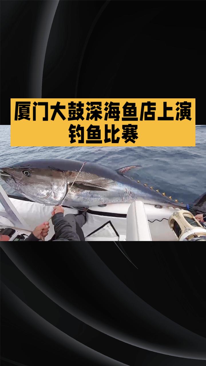 三人在浩瀚海水中如何钓起一条重达280公斤的蓝鳍金枪鱼/？这背后的故事让人称奇。