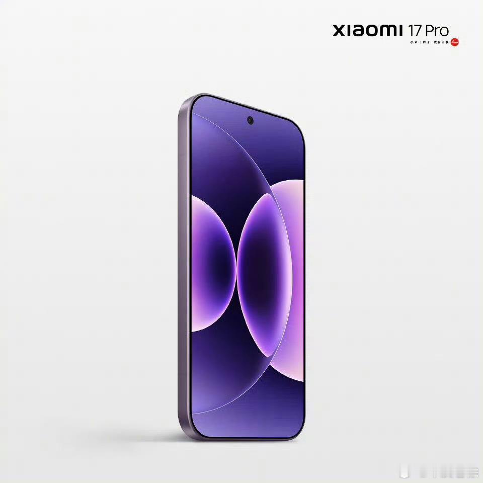 这个冷烟紫的颜值确实可以，小米别管抄没抄，在配色上确实下功夫了小米17Pro冷烟